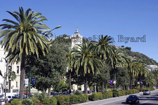 Malaga Road Scene